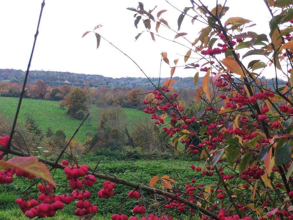L'Oisellerie Cottages Le Renouard ภายนอก รูปภาพ